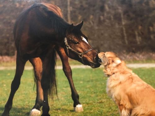 16 Pierce Rd, Sutton MA 01590-2909 exterior