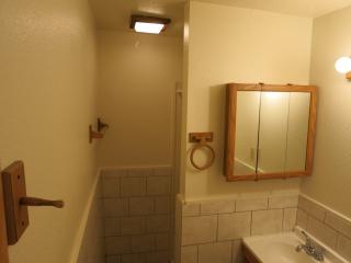 1023 Land Pl, Milwaukee WI  53202-1536 exterior