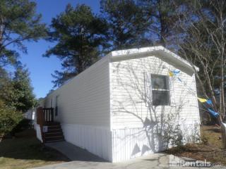 4741 Apaloosa Ct, Charleston SC  29420-7584 exterior