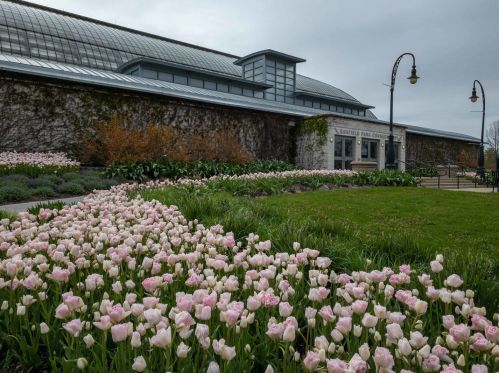 104 Hamlin Blvd, Chicago, IL 60624-2592