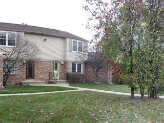 24308 Bashian Dr, Novi MI  48375-2922 exterior