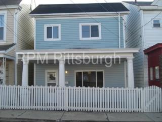 822 Eureka St, Pittsburgh PA  15210-1028 exterior