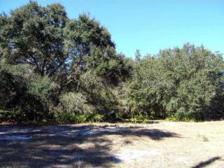 8842 Woodleaf Blvd, Zephyrhills, FL 33544-2675