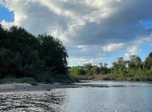 3709 Denehoe Cv, Austin TX  78725-4709 exterior