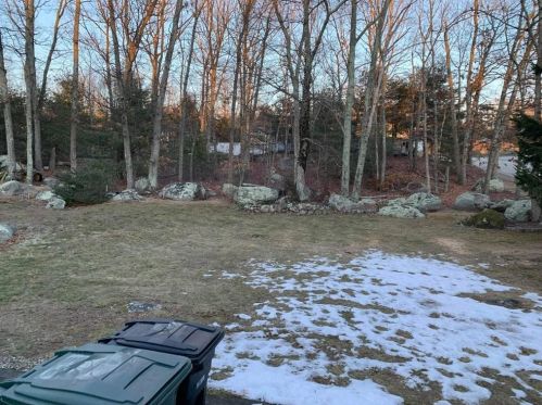 31 Colvintown Rd, Coventry, RI 02816-8509