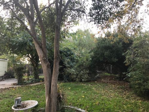 145 West Ave, Turlock CA 95380-5654 exterior