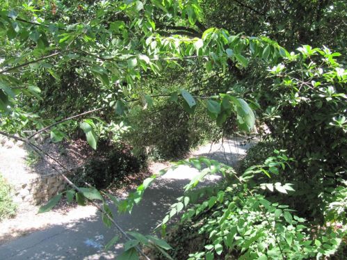 3615 Mono Pl, Davis CA 95618-6045 exterior