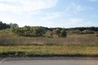 10835 Pennycress Ln, Mattawan, MI 49071-8449