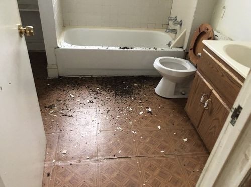 1812 Harding Ave, Chicago IL 60647-4613 exterior