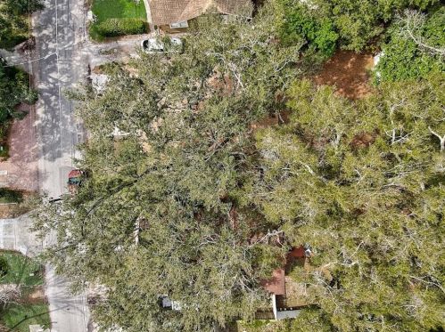 309 Crest Ave, Tampa FL 33614-6709 exterior