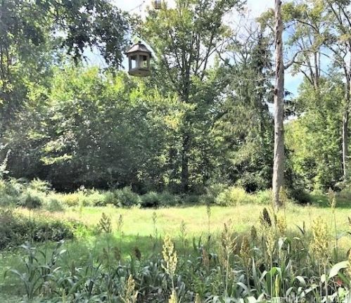 170 Stevenstown Rd, Deep River CT 06417-1508 exterior