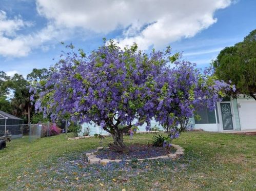 509 Floresta Dr, Fort Pierce FL  34983-8613 exterior