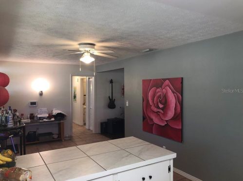 8005 Pne Hl Dr, Tampa FL 33617-7602 exterior