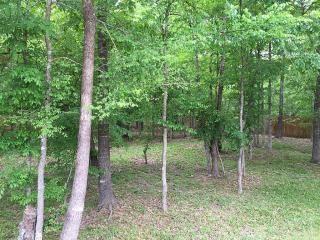 18878 Mystic Pt, Montgomery TX  77356-4994 exterior