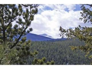 82 Sundance Cir, Nederland, CO 80466-9526