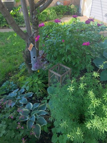 3244 Monticello Ave, Chicago IL 60618-6614 exterior