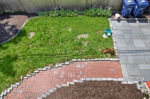 39 Goldsmith St, Boston MA exterior