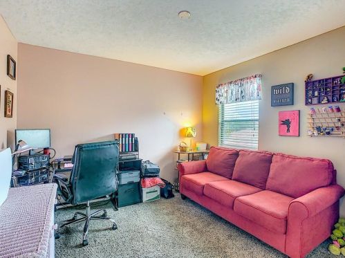 11520 Palmetto Pine St, Riverview FL 33569-6224 exterior