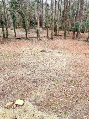 2831 Broxton Mill Ct, Lithonia GA  30039-6279 exterior