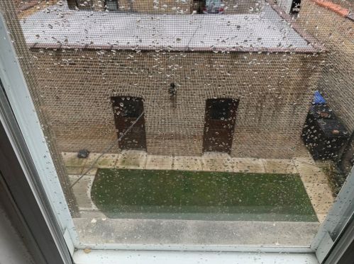 2145 Arthur Ave, Chicago IL  60645-5514 exterior