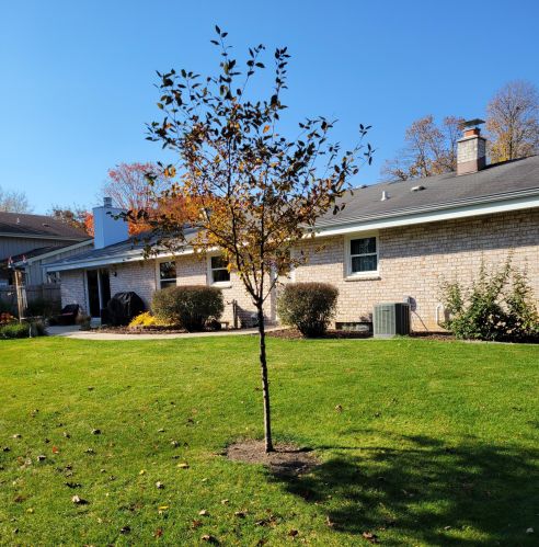 3938 119, Milwaukee WI 53228-1814 exterior