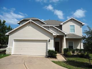 7003 Windy Run Ct, Spring TX  77379-8263 exterior