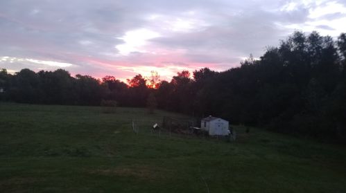 1100 Eunice Ave, Joliet IL 60433-8517 exterior