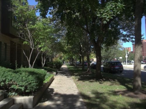 5326 Ingleside Ave, Chicago IL  60615-4310 exterior