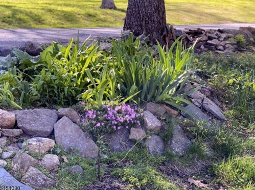 130 Dover Chester Rd, Dover NJ 07869-1901 exterior