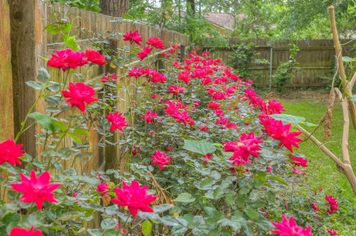 2310 Ave, Huntsville TX 77340-5517 exterior