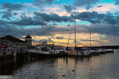 116 Roberts Ln, Alexandria VA 22314-5343 exterior