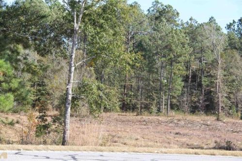 23 Duval St, Claxton, GA 30417