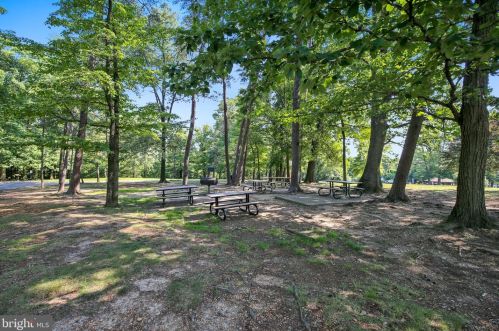 311 Kentucky Ave, Alexandria VA 22305 exterior