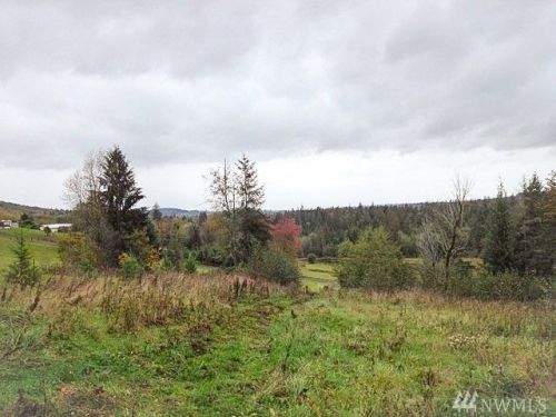 140 Lost Creek Ln, Alpha, WA 98570-9474