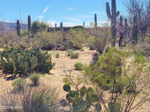 11364 Prince Rd, Tucson AZ 85705-3025 exterior