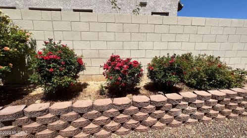 12631 Granville Cyn Way, Tucson AZ 85755-8936 exterior