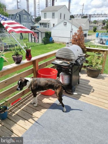 66 Elmwood Ave, Manor PA 19036-1927 exterior