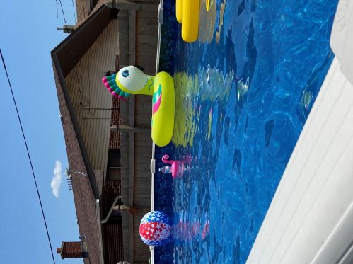 1259 Cora St, Joliet IL 60435-4347 exterior