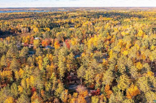 1765 Moss Rdg Rd, Ely MN 55731-9705 exterior