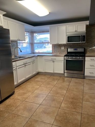 12224 Hamlin Ave, Chicago IL  60803-1304 exterior