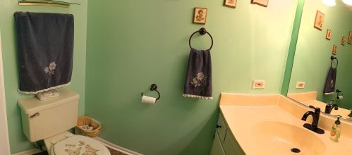 2463 Red Oak Trl, Joliet IL 60403-3196 exterior