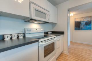 1133 Dearborn St, Chicago IL  60610-2783 exterior