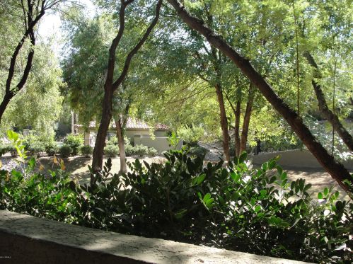 5751 Kolb Rd, Tucson AZ  39204-0871 exterior