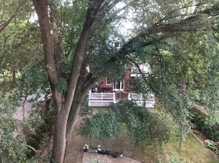 5529 University Ave, Chicago IL  60637-1534 exterior