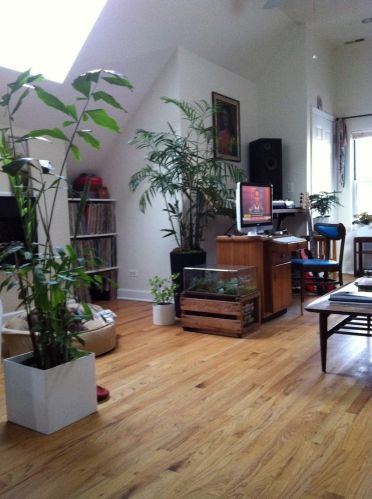 916 Francisco Ave, Chicago IL 60629-3008 exterior