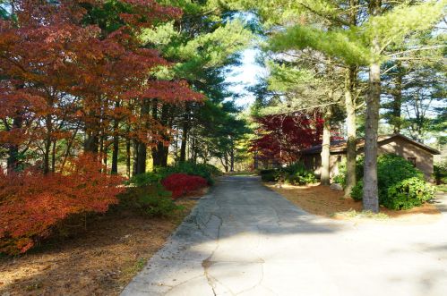 2425 58 St, Fennville MI 49408-8417 exterior