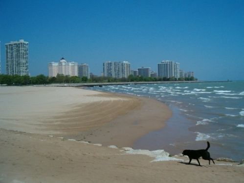 1711 Estes Ave, Chicago IL 60626-2430 exterior