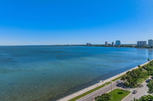 2413 Bayshore Blvd, Tampa FL  33629-7333 exterior