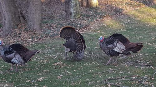 7136 Un Deposit Rd, Hummelstown PA 17036-9505 exterior