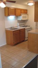 953 86th St, Chicago IL  60619-6353 exterior